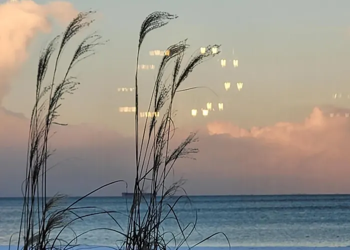 Apartment Stacja Sopotowo W Klimacie Morza Sopot