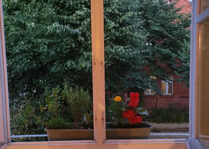 Stacja Sopotowo W Klimacie Morza *